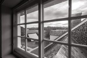 Service wing and yard from attic stair window